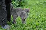 Превью DSC_0629 (700x464, 334Kb)