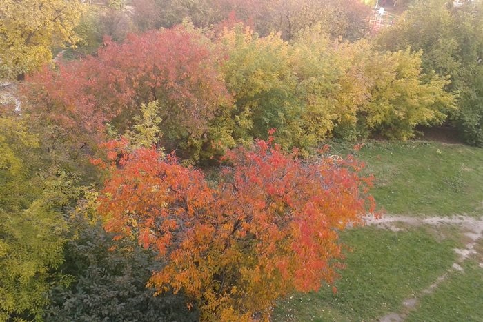 autumn (700x467, 231Kb)