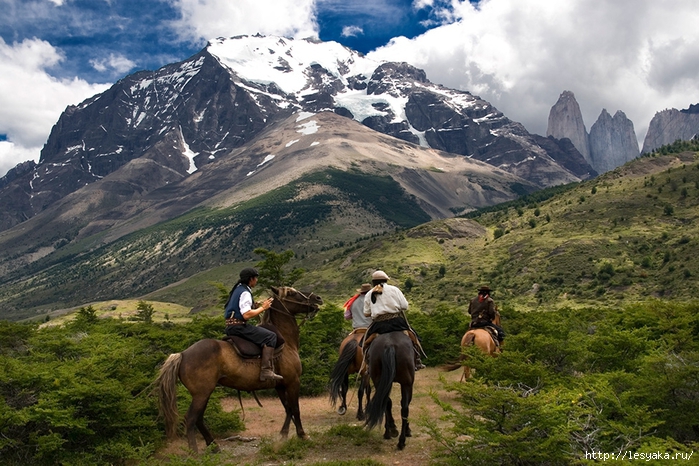 EcoCamp_Patagonia_hqroom_ru_06 (700x466, 336Kb)