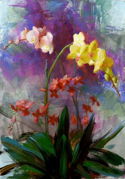 orchidsforsarahlighterversion (491x700, 167Kb)