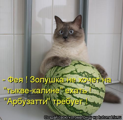 995080 (500x486, 121Kb)