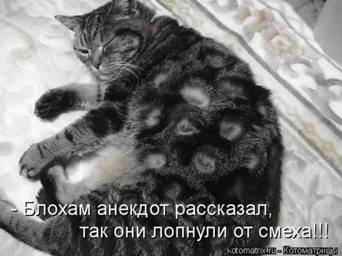 original (20) (495x371, 106Kb)