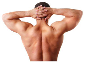 backMuscles (300x220, 46Kb)