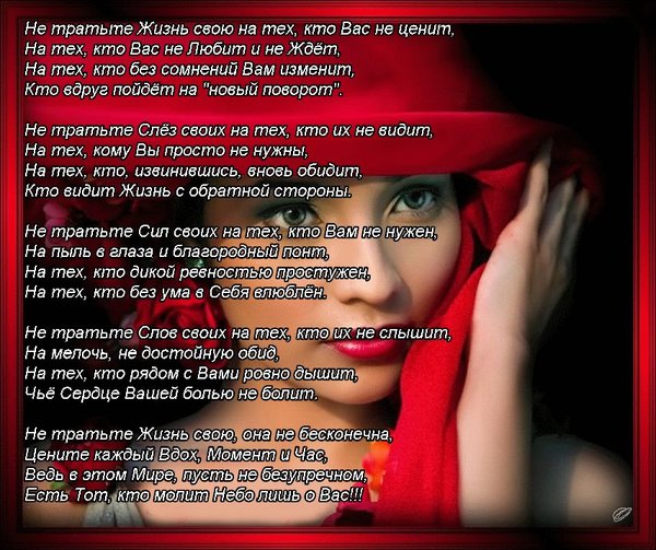 Стих нас не ценят Стих нас не ценят