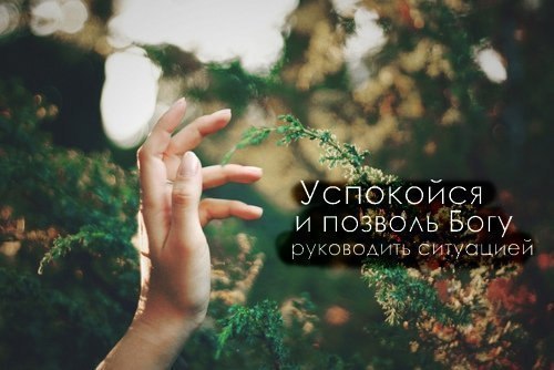 ZNoU6srmhWM (500x334, 38Kb)