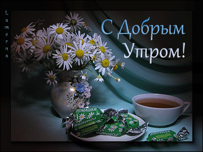 Цитаты доброе утро для него Цитаты доброе утро для него