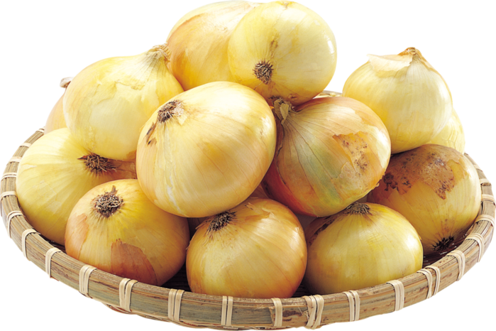 onion73 (700x466, 471Kb)