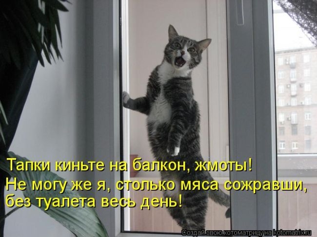 106505328_large_3201191_1365145074_kotomatrix_01 (650x487, 141Kb)