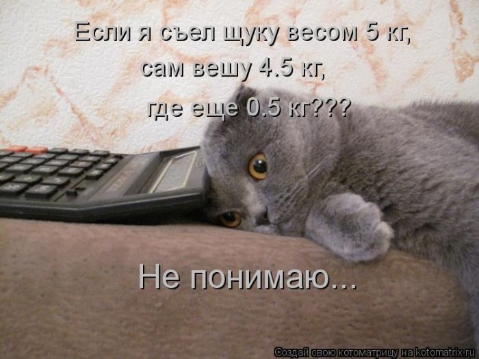 106505334_large_3201191_kotomatrix_02 (700x525, 170Kb)