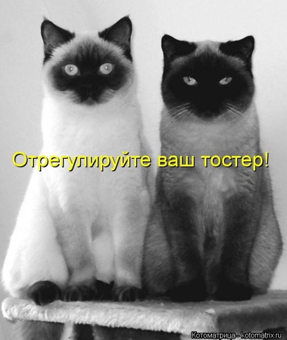 original (23) (592x700, 132Kb)