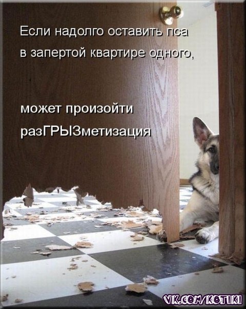 4432201_76wLd38vY3Y_1_ (480x604, 65Kb)