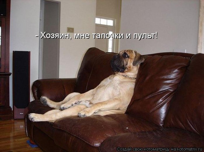4432201_28068 (700x524, 56Kb)