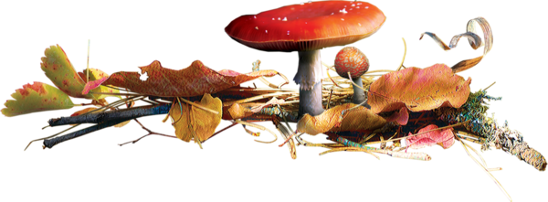0_91edb_a33e9d82_XL (500x121, 177Kb)