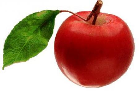 Парк Сокольники дарит более 10 000 яблок! (450x303, 14Kb)