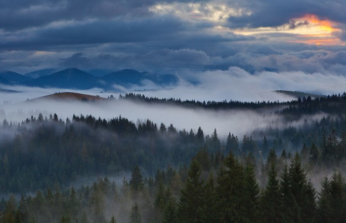 16Карпаты, Украина (700x452, 50Kb)
