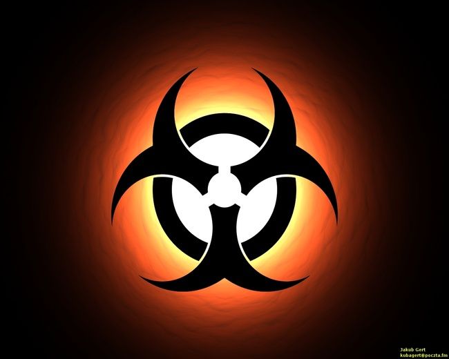 2942023_Biohazard (650x520, 25Kb)