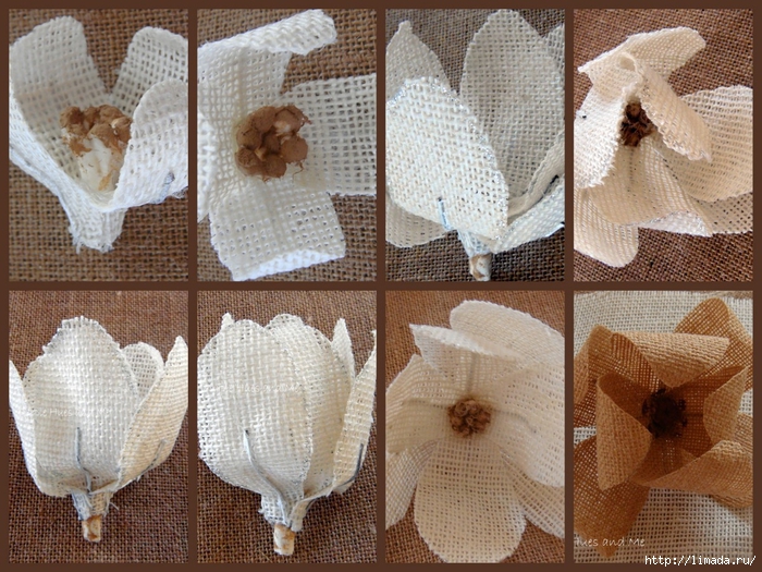 Burlap Magnolia Stem5-001 (700x525, 369Kb)