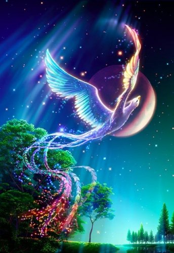 102673197_49ba3c0587cb (344x500, 43Kb)
