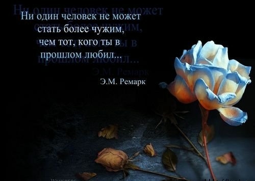 Вышивка на трикотаже, шов петля в петлю. Обсуждение на Выставка «Движение души» Ланы Медвецкой откроется 10
