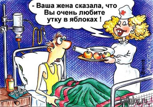 4497432_297u (500x350, 166Kb)