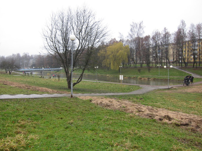 Парк 1100-летия Смоленска. Ноябрь 2013