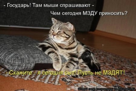 http://img0.liveinternet.ru/images/attach/c/9/107/171/107171552_3.jpg