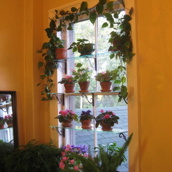 window-shelves-ideas-for-plants4-1 (600x600, 214Kb)