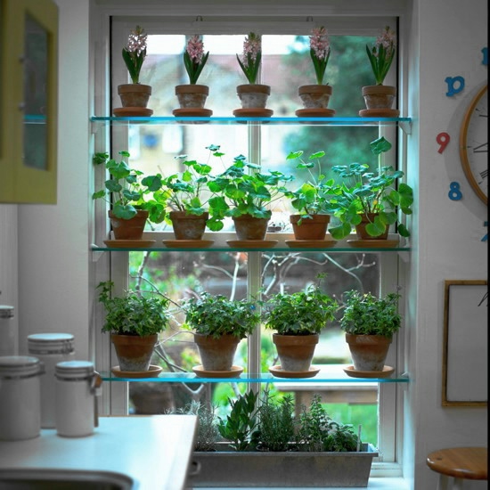 window-shelves-ideas-for-plants1-1 (550x550, 170Kb)