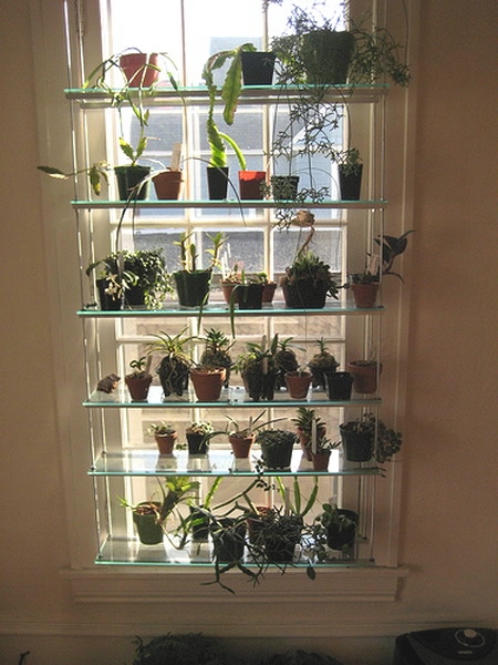 window-shelves-ideas-for-plants1-9 (450x600, 172Kb)