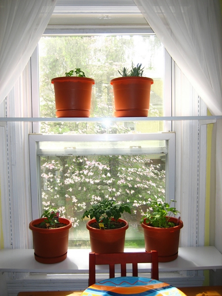 window-shelves-ideas-for-plants2-2 (450x600, 196Kb)