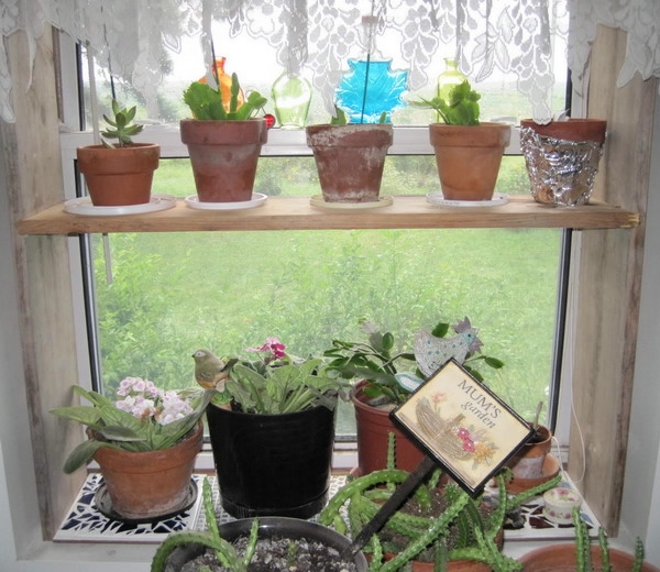 window-shelves-ideas-for-plants2-6 (600x520, 190Kb)