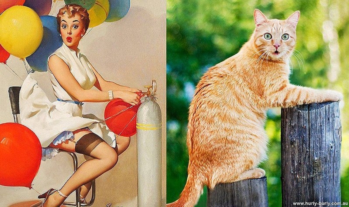 pinupcats19 (700x414, 279Kb)