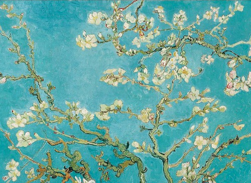 Vincent Van Gogh1 (500x365, 312Kb)