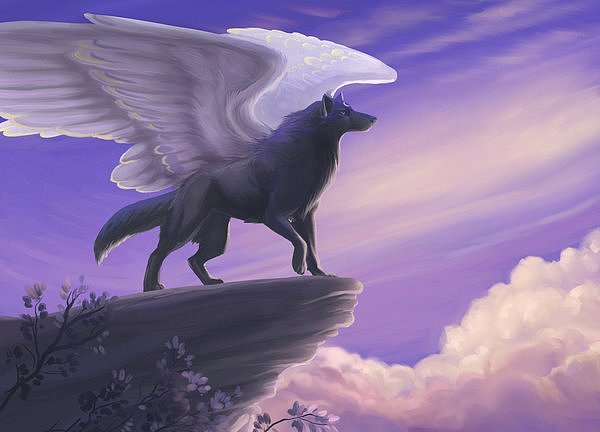19 (600x432, 34Kb)