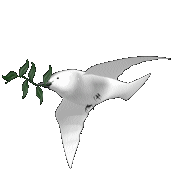 ColombeBranche (180x180, 32Kb)