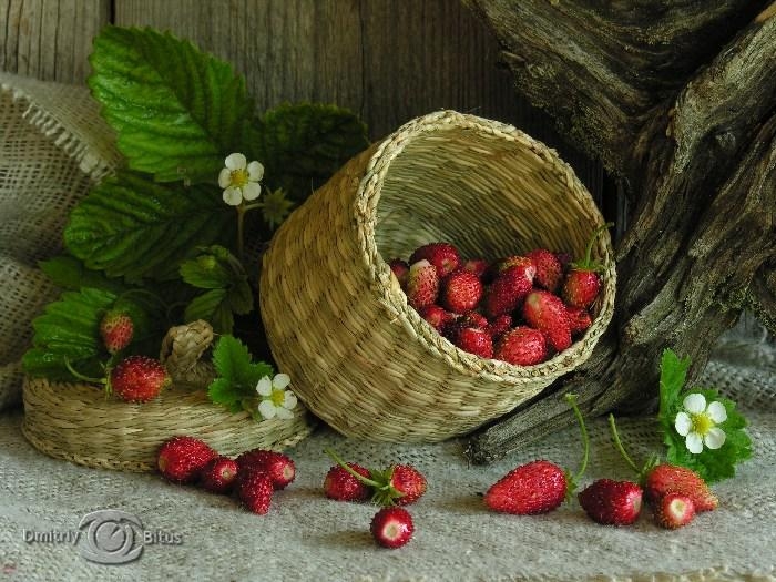 Стих для царицы Стих для царицы
