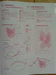 Превью Гавайский квилт 5. Японская книжка (61) (525x700, 226Kb)
