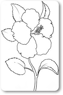 6 (211x319, 32Kb)