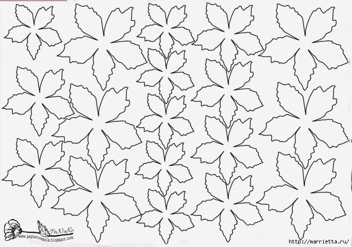 Рождественская звезда ПУАНСЕТТИЯ из бумаги. Шаблоны и мастер-класс (14) (700x492, 191Kb)
