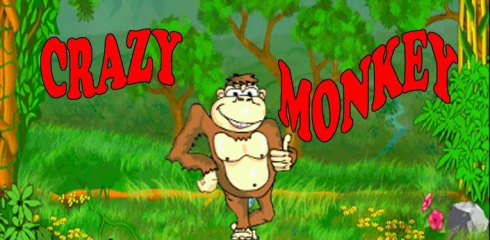 1335262696-crazy-monkey-slot (490x240, 65Kb)