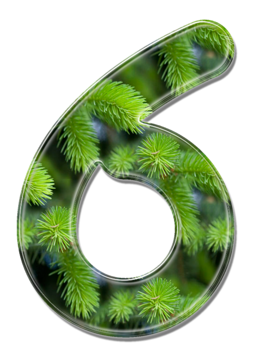 6 (524x700, 380Kb)