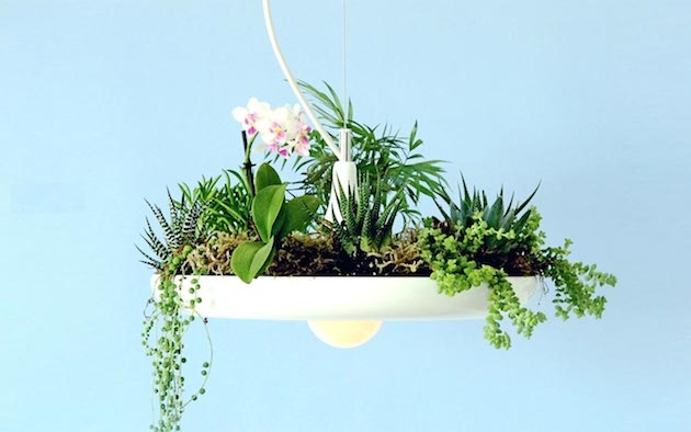 06-Stunning-Hanging-Babylon-Plantable-Light-Fixture (630x394, 96Kb)