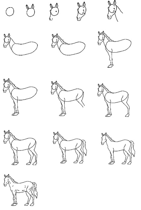 Как же поэтапно нарисовать лошадь?