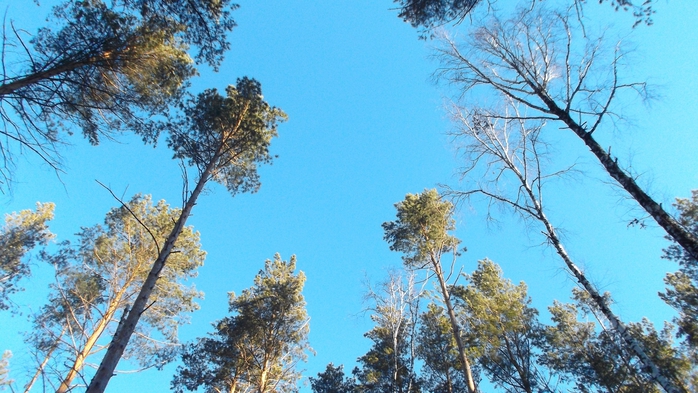 DSCF2597 (700x393, 277Kb)