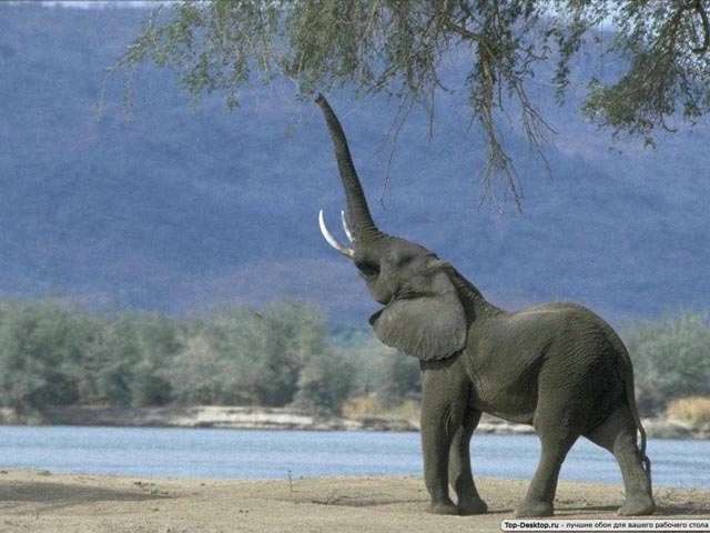 9 (640x480, 146Kb)