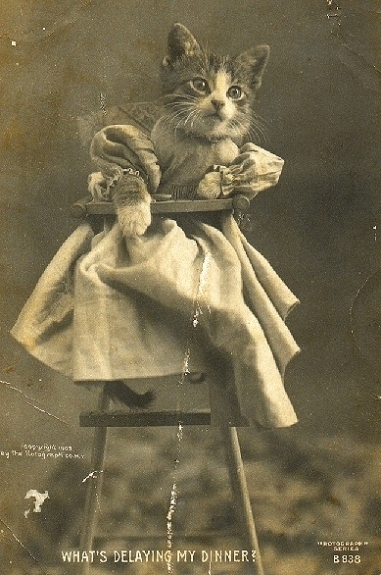 LOLcats от викторианского фотографа Harry Whittier Frees