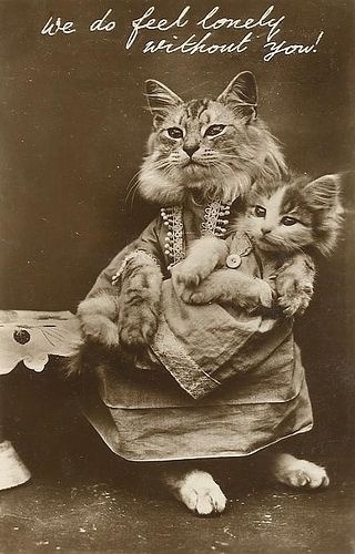 LOLcats от викторианского фотографа Harry Whittier Frees