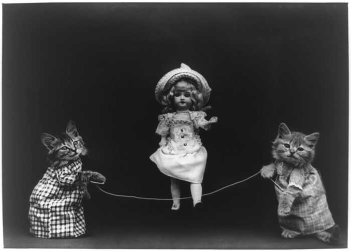 LOLcats от викторианского фотографа Harry Whittier Frees