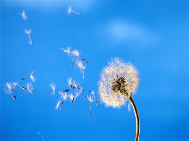 /4682845_6b998479c662 (640x480, 30Kb)
