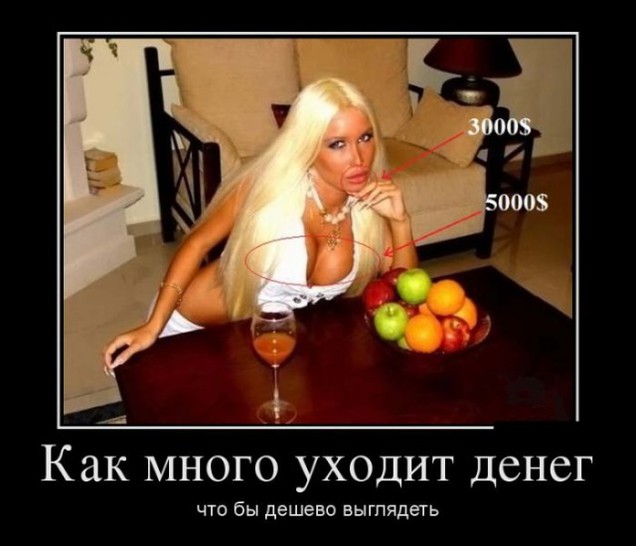 4497432_451u (636x546, 57Kb)